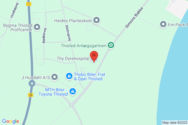 Thisted Dyrekonsultation