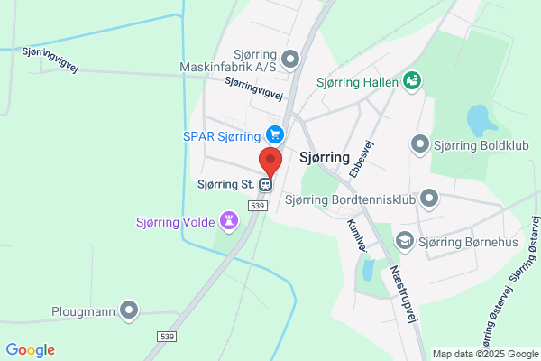Serviceringen