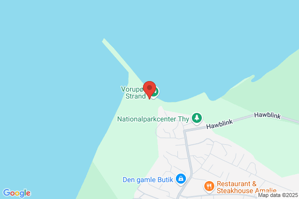 Havmågen Vorupør skole