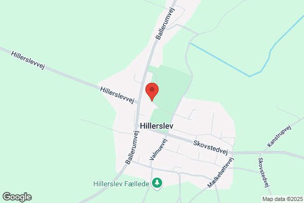 Kridthuset Hillerslev skole