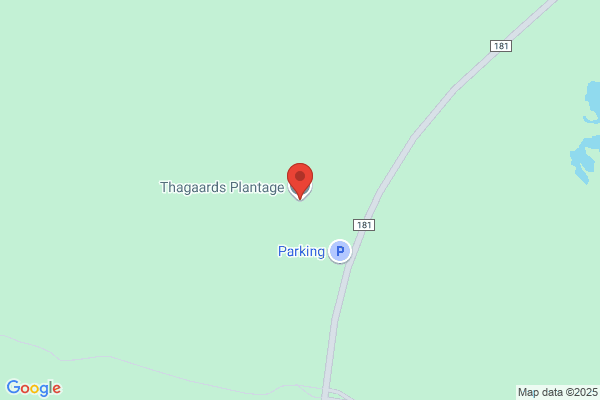 Nystrup Klitplantage, Thy Statsskovdistrikt
