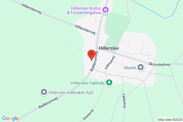 Dagli' Brugsen Hillerslev