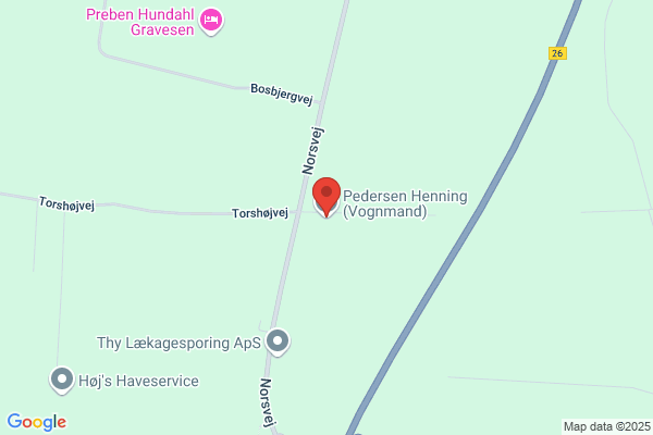 Pedersen, Henning