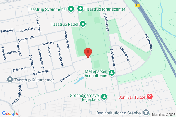 Danske Spejderkorps, Det