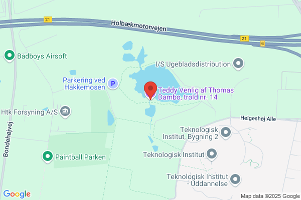 Træhåndværkeren