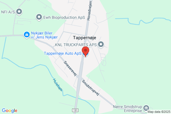 Tappernøje Auto Elektro ApS