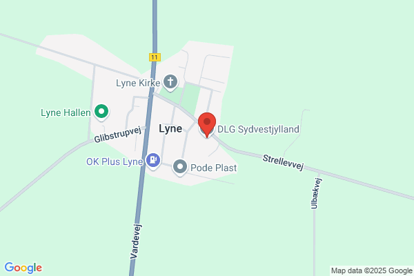 Dlg Sydvestjylland