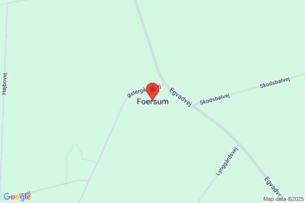 Foersum Gylletrans