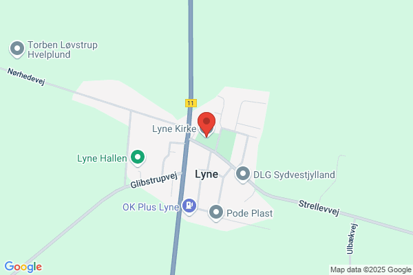Lyne menighedsråd