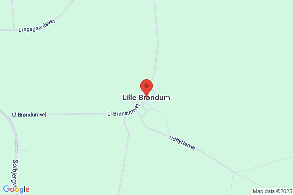Brunø, Bjarne