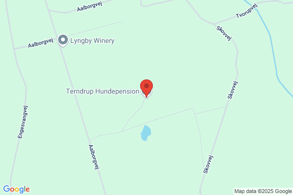 Terndrup Hundepension