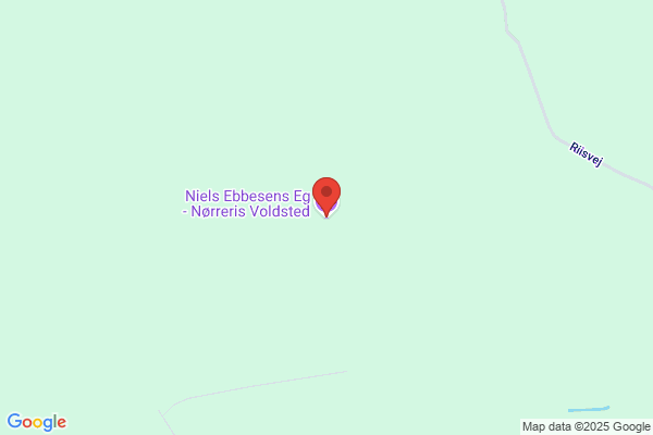 Ebbesen, Niels