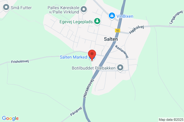 Salten Antik