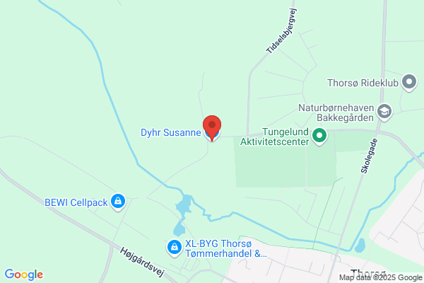 Thorsø Blomster