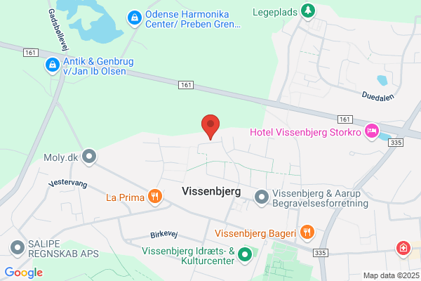 Det Radikale Venstre i Thyholm