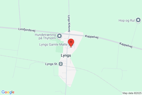 Indre Mission, Lyngs