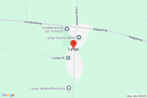 Lyngs Nærbutik