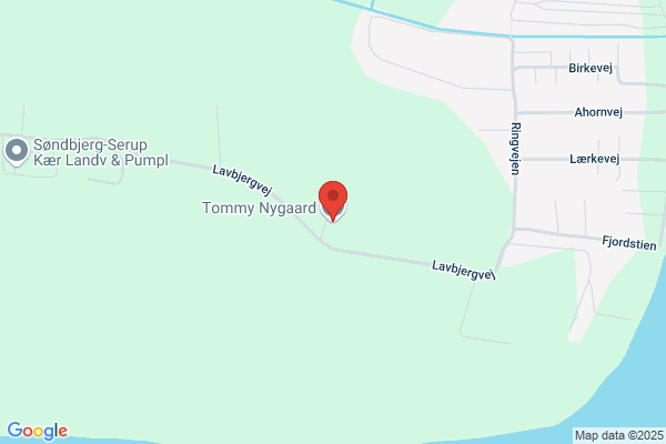 Nygaard, Tommy