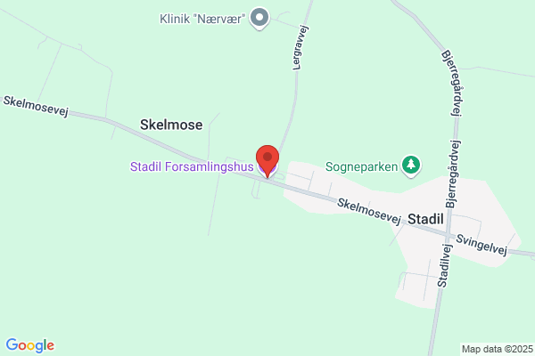Venstrevælgerforeningen i Stadil
