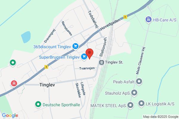 Lægerne i Tinglev
