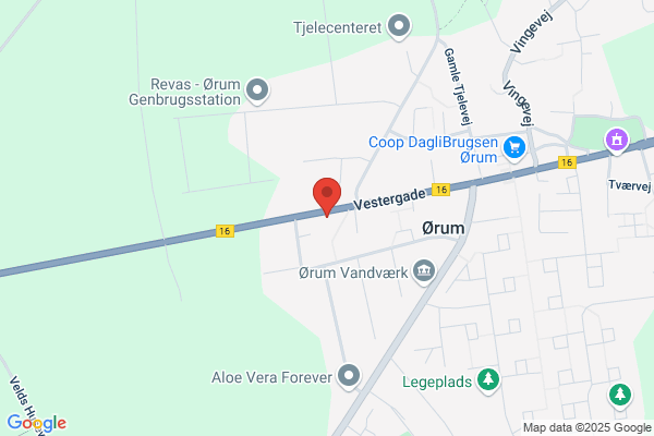 Lægerne i Ørum