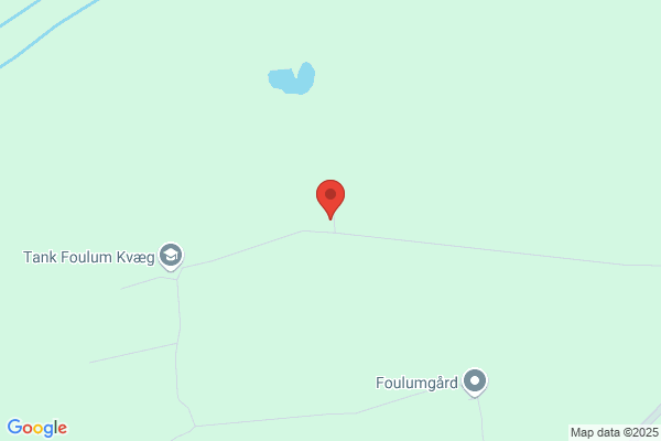 Foulum Murerforretning