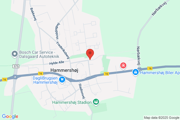 Det Danske Spejderkorps, Hammershøj Trop