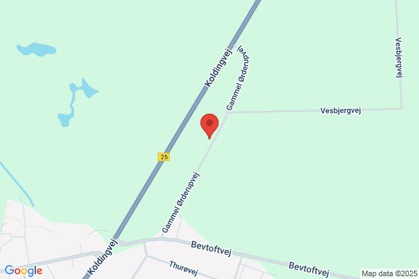 Simonsen, Christian