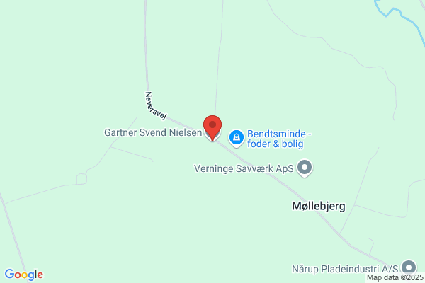Nielsen, Svend