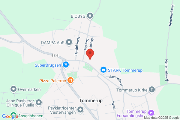 Handicaprådet i Tommerup Kommune