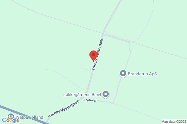 Pedersens Hammondparty, Mogens