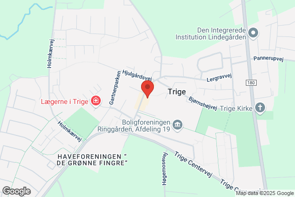 Dyrlægerne, Århus