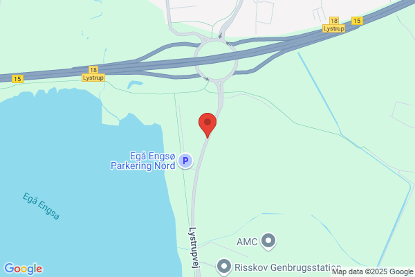 Frislev, Jens