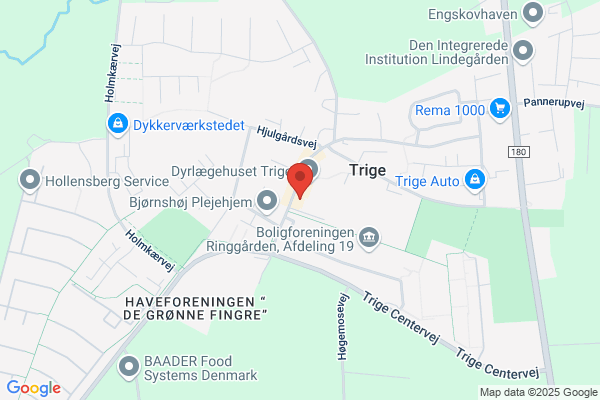 Trige Bodega