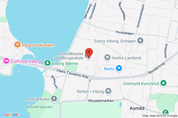 Danmarks Idræts-Forbund, Viborg Amt