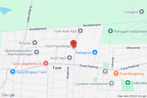 Bosch Car Service Tune