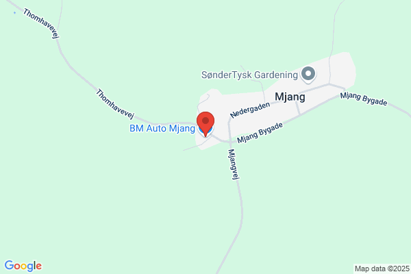 BM Auto