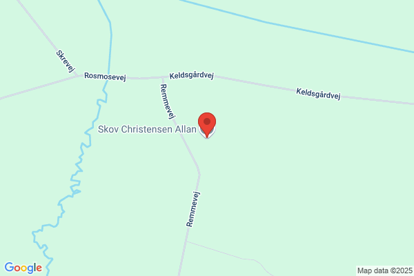 Christensen, Allan