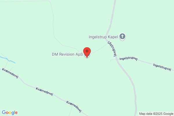 DM-Revision ApS