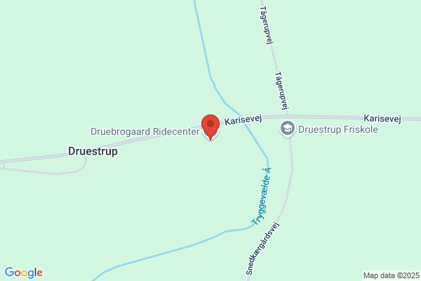 Fuglesanggård Hestepension