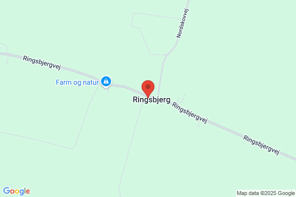 Ringsbjerg Bylaug