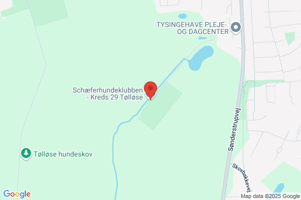 Schæferhundklubben i Tølløse