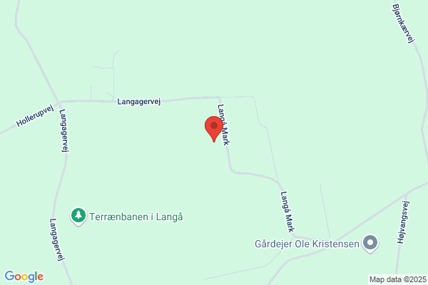 Guldhammer, Per