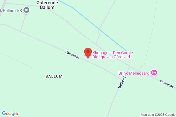 Digekollegierne