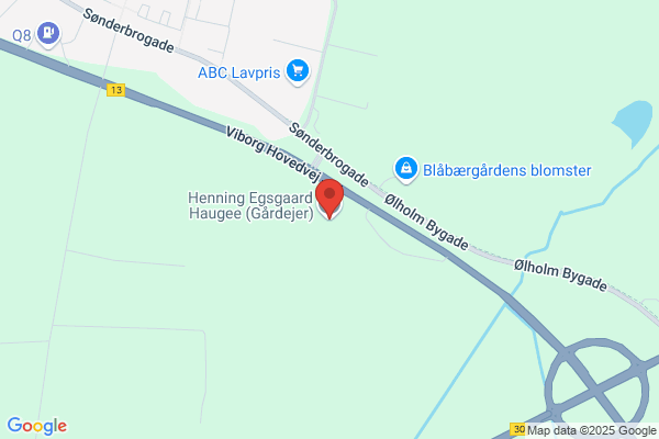 Neergaard, Stig
