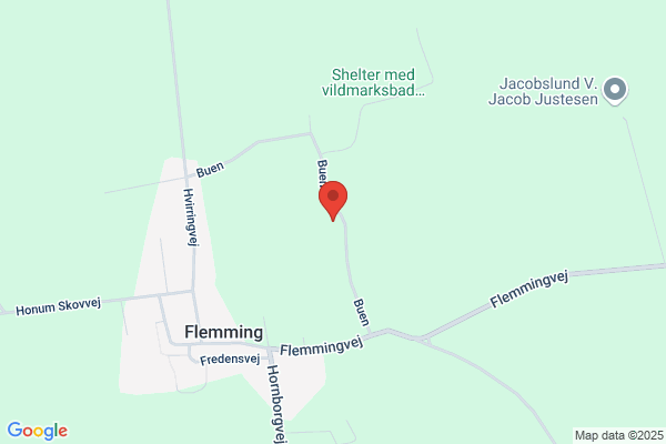 Flemming Borgerforening