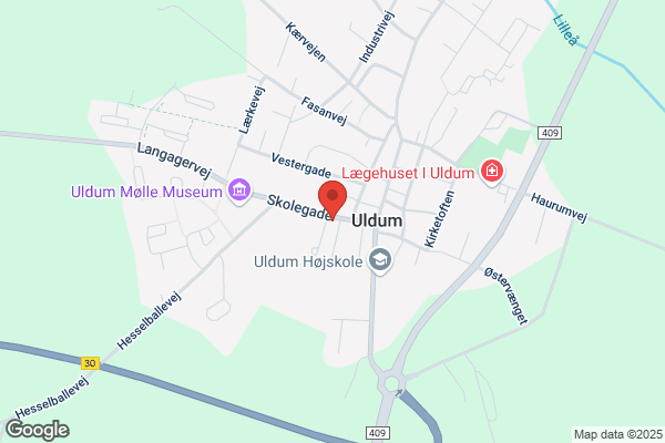 Rask Mølle Antenneforening