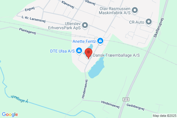 Dansk Træflis