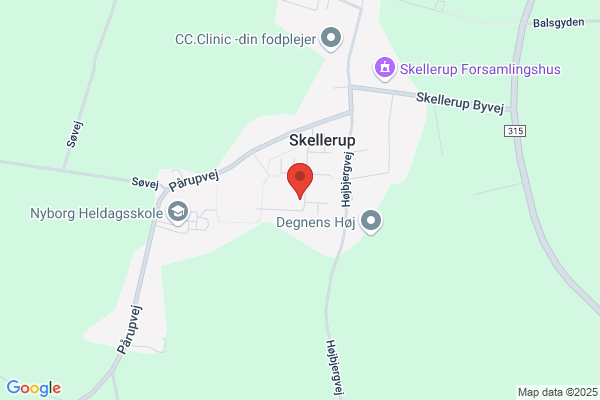Skellerup SGIF's Støtteforening