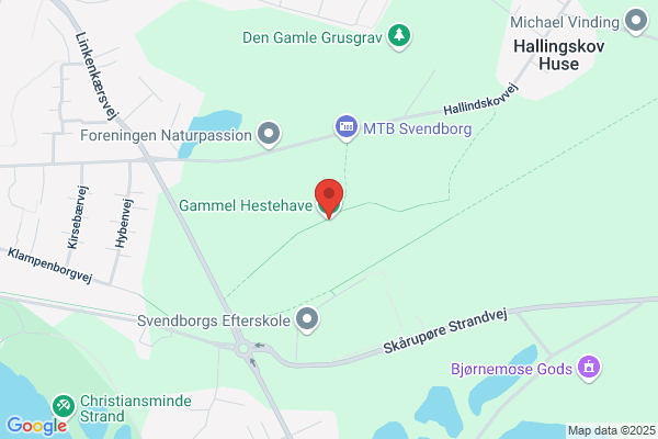 Svendborg Buejægere